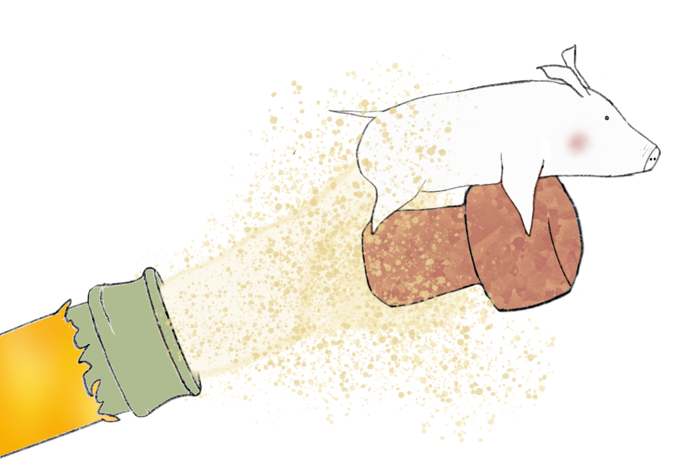 Gloria the pig riding a champagne cork